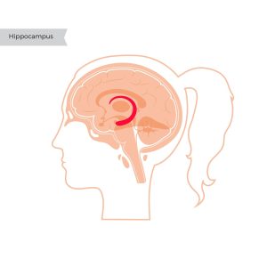 Ilustrasi seseorang mengalami stres dan kurang tidur yang menyebabkan penurunan daya ingat dan sulit konsentrasi